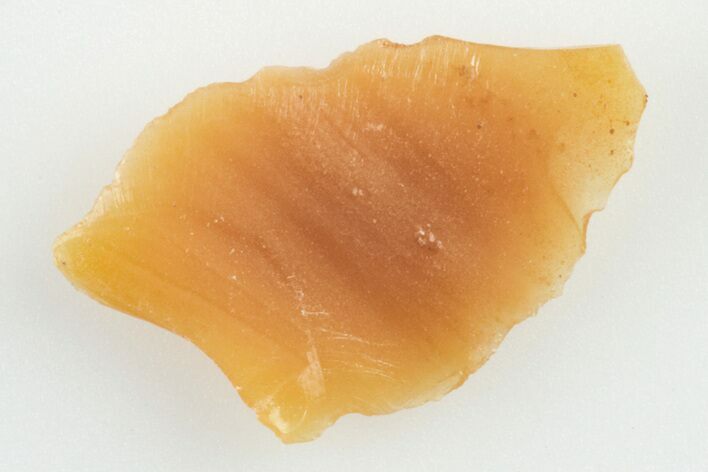 Kansas Amber (Jelinite) Specimen - George Jelinek Collection #201419